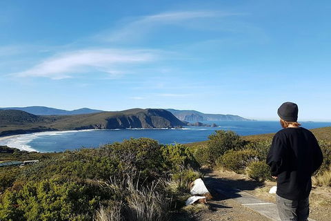 Small-Group Day Trip From Hobart To Bruny Island - Mackay Tourism 6