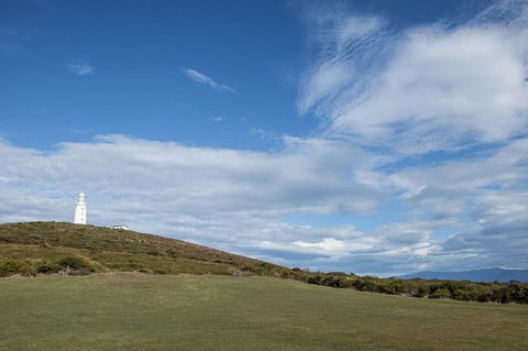 Bruny Island Premium Private Photo-oriented Day Tour From Hobart - Mackay Tourism 3