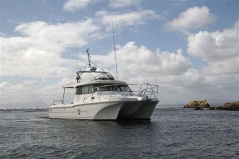 Bonnet Island Experience Departing From Strahan - Mackay Tourism 1