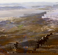 Mt Wellington Half Day Guided Summit Hike - Mackay Tourism