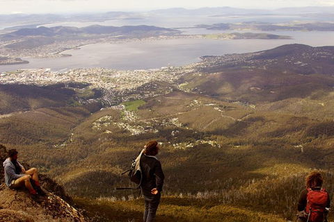Mt Wellington Half Day Guided Summit Hike - Mackay Tourism 0
