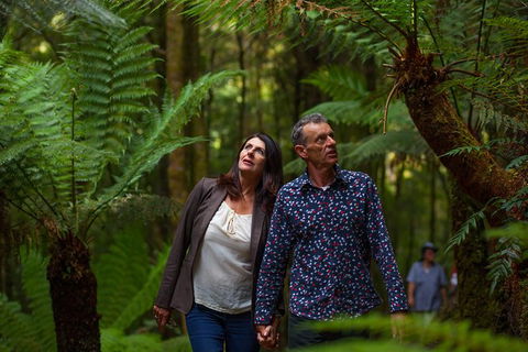 West Coast Wilderness Railway: River And Rainforest From Strahan - Mackay Tourism 1