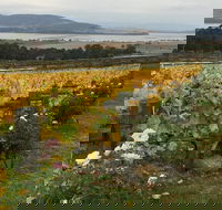 Mona and Wine Experience Tour - Mackay Tourism