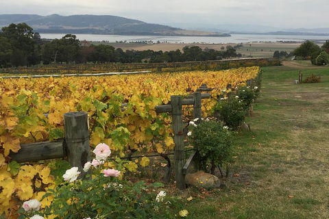 Mona And Wine Experience Tour - Mackay Tourism 0