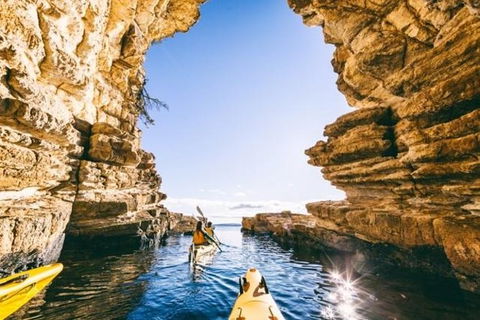 Hobart Kayak Tour - Mackay Tourism 0