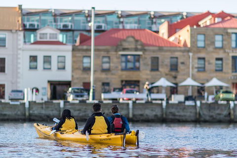 Hobart Kayak Tour - Mackay Tourism 6