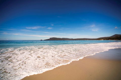 Private Bruny Island Nature Day Trip From Hobart - Mackay Tourism 1