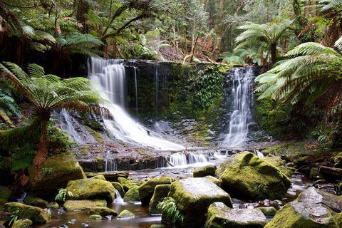 Mount Field National Park - Tarn Shelf & Russell Falls - Guided Hiking Tour - Mackay Tourism 10
