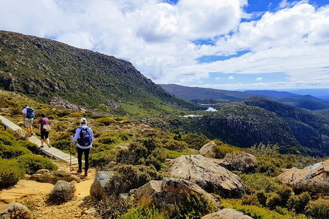 Mount Field National Park - Tarn Shelf & Russell Falls - Guided Hiking Tour - Mackay Tourism 9