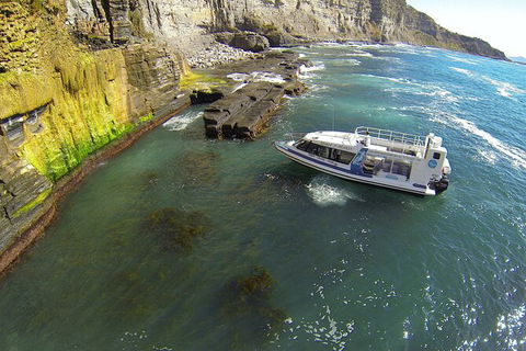 Maria Island Shuttle Bus Hobart To Triabunna (Round Trip) - Mackay Tourism 3