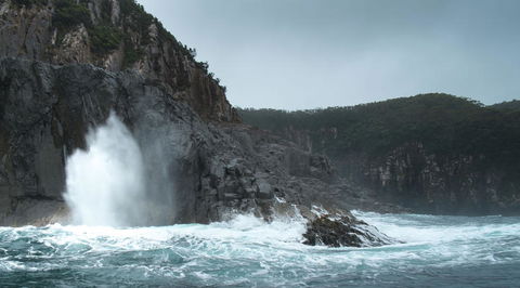 Full-Day Bruny Island Tour From Hobart - Mackay Tourism 22