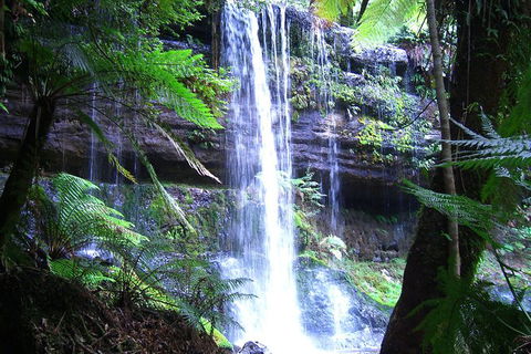 Mt Field National Park And Russell Falls From Hobart - Mackay Tourism 1
