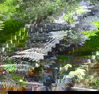 Mt Field National Park and Russell Falls from Hobart - Mackay Tourism
