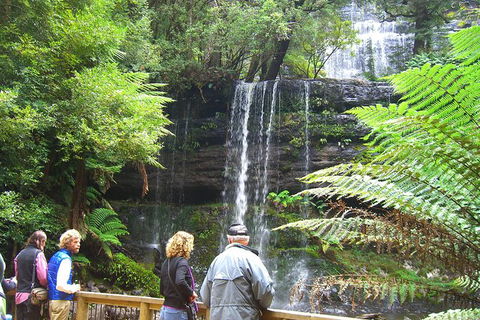Mt Field National Park And Russell Falls From Hobart - Mackay Tourism 0