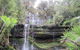 Mt Field National Park And Russell Falls From Hobart - thumb 4