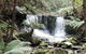 Mt Field National Park And Russell Falls From Hobart - thumb 2