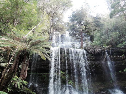 Mt Field National Park And Russell Falls From Hobart - Mackay Tourism 3