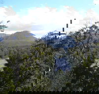 Huon Valley and Tahune Forest Airwalk Tour from Hobart - Mackay Tourism