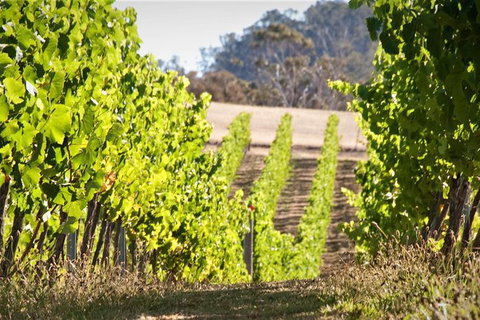Richmond And Wine Tour Departing Hobart - Mackay Tourism 1