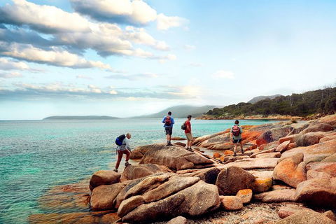 Great Walks Of Australia: 4-Day Freycinet Experience Walk - Mackay Tourism 2