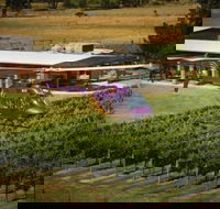 Home Hill Winery Helicopter Tour - Mackay Tourism