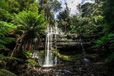 3-Day West Coast Tasmania Tour From Hobart Including Cradle Mountain, Montezuma Falls And Strahan - Mackay Tourism 3