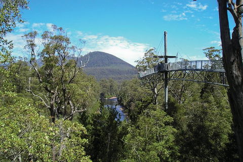 Small-groupTour From Hobart: Mt. Wellington, Huon Valley And Tahune AirWalk - Mackay Tourism 7