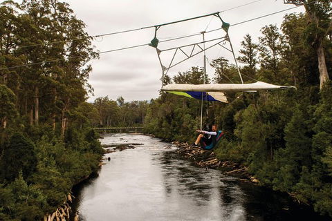 Small-groupTour From Hobart: Mt. Wellington, Huon Valley And Tahune AirWalk - Mackay Tourism 3