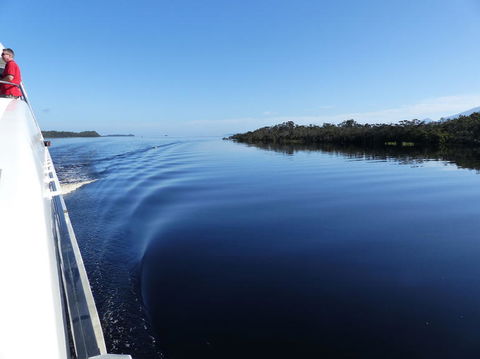 Gordon River Cruise Departing From Strahan - Mackay Tourism 3