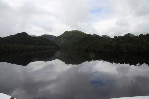 Gordon River Cruise Departing From Strahan - Mackay Tourism 18