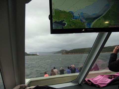 Gordon River Cruise Departing From Strahan - Mackay Tourism 5