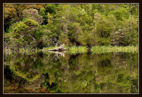 Gordon River Cruise Departing From Strahan - Mackay Tourism 12