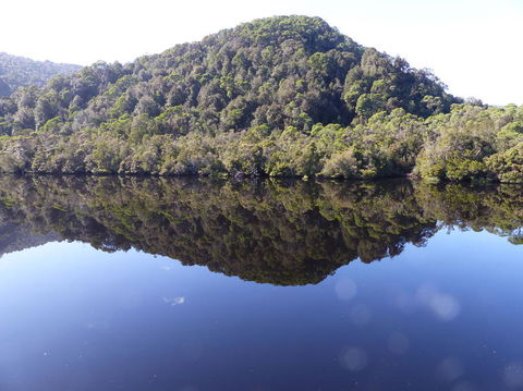 Gordon River Cruise Departing From Strahan - Mackay Tourism 4