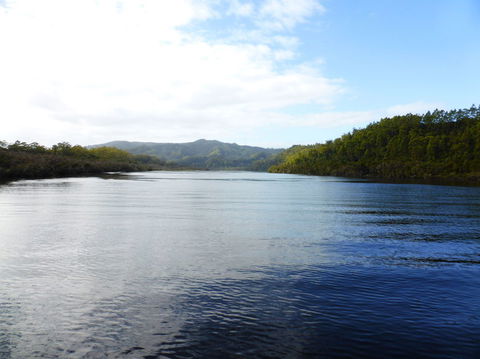 Gordon River Cruise Departing From Strahan - Mackay Tourism 10