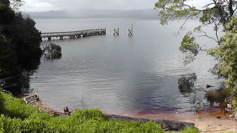 Gordon River Cruise Departing From Strahan - Mackay Tourism 22