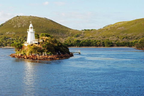 Gordon River Cruise Departing From Strahan - Mackay Tourism 25