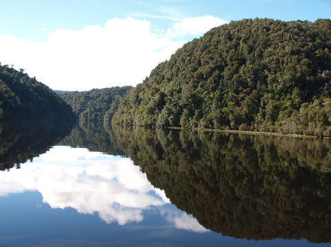 Gordon River Cruise Departing From Strahan - Mackay Tourism 16