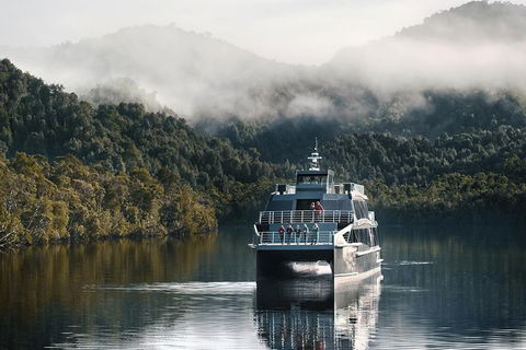 Gordon River Cruise Departing From Strahan - Mackay Tourism 35