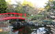Small-group Tour From Hobart: Native Flora And Fauna, Incl. Royal Bot. Gardens - thumb 0