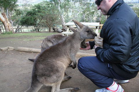 Small-group Tour From Hobart: Native Flora And Fauna, Incl. Royal Bot. Gardens - Mackay Tourism 1