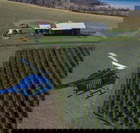 Bangor Vineyard Shed Helicopter Tour - Mackay Tourism