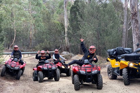 Quad Bike 2-Hour Adventure: Freycinet National Park - Mackay Tourism 4