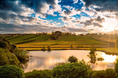 Josef Chromy Wines Winery Tour Including Tasting And Lunch - Mackay Tourism 2