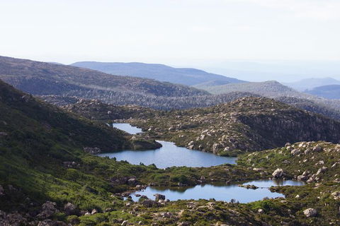 2-Day: Hobart Hiking Tour: Cape Raoul And Mount Field - Tarn Shelf - Mackay Tourism 9