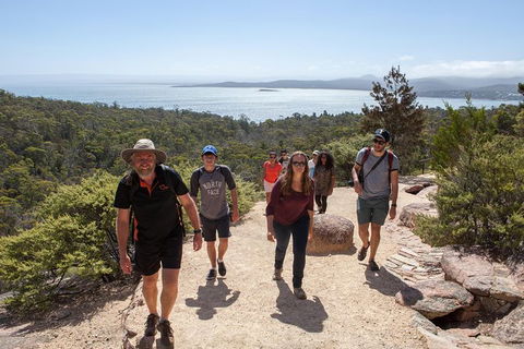 Active Day Tour One-Way From Hobart To Launceston With Wineglass Bay - Mackay Tourism 1