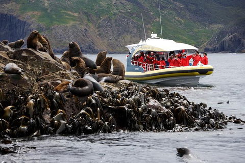 3-Hour Bruny Island Cruise From Adventure Bay - Mackay Tourism 2