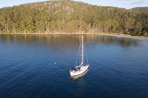 North Bruny Island Day Sail - Mackay Tourism 8