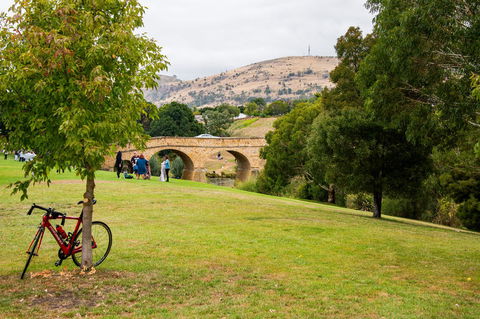 Small-Group Tour From Hobart: Mt Wellington, Bonorong Wildlife Park And Richmond - Mackay Tourism 14