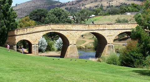 Small-Group Tour From Hobart: Mt Wellington, Bonorong Wildlife Park And Richmond - Mackay Tourism 16