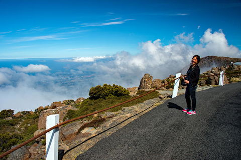 Small-Group Tour From Hobart: Mt Wellington, Bonorong Wildlife Park And Richmond - Mackay Tourism 12